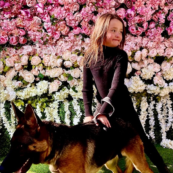 Meet your Posher, Alma - Picture 2 of 15